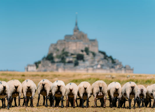 Mont-Saint-Michel